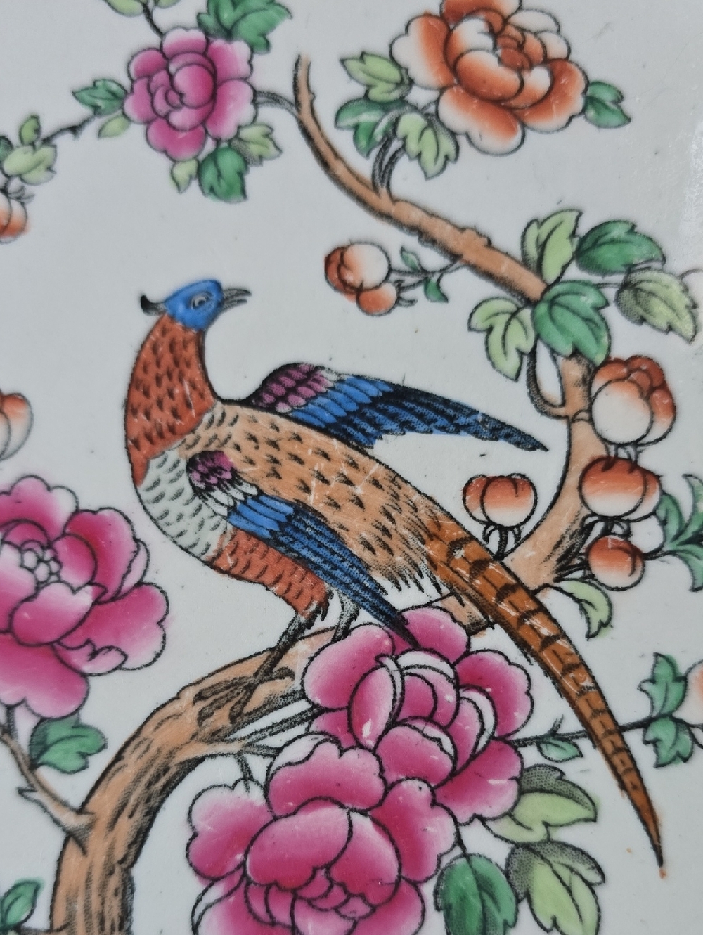 Decorative Antique Winkle England Floral Pheasant Porcelain  Dinner Plate 10"